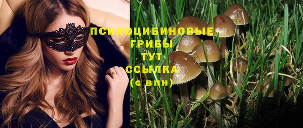 не бодяженный Протвино