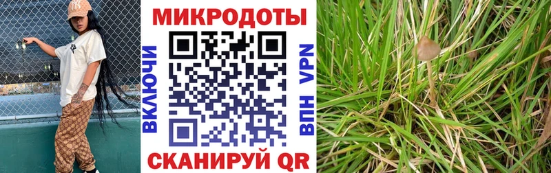 Галлюциногенные грибы мухоморы  мориарти какой сайт  Горбатов 